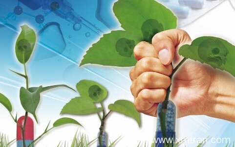 怎么知道自己是否適合醫(yī)學(xué)翻譯呢？該有哪些責(zé)任？