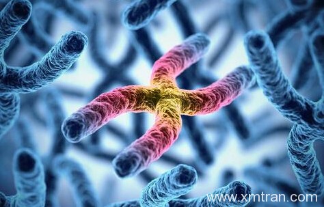 醫(yī)學翻譯的錯誤方式：做好醫(yī)學翻譯的關鍵